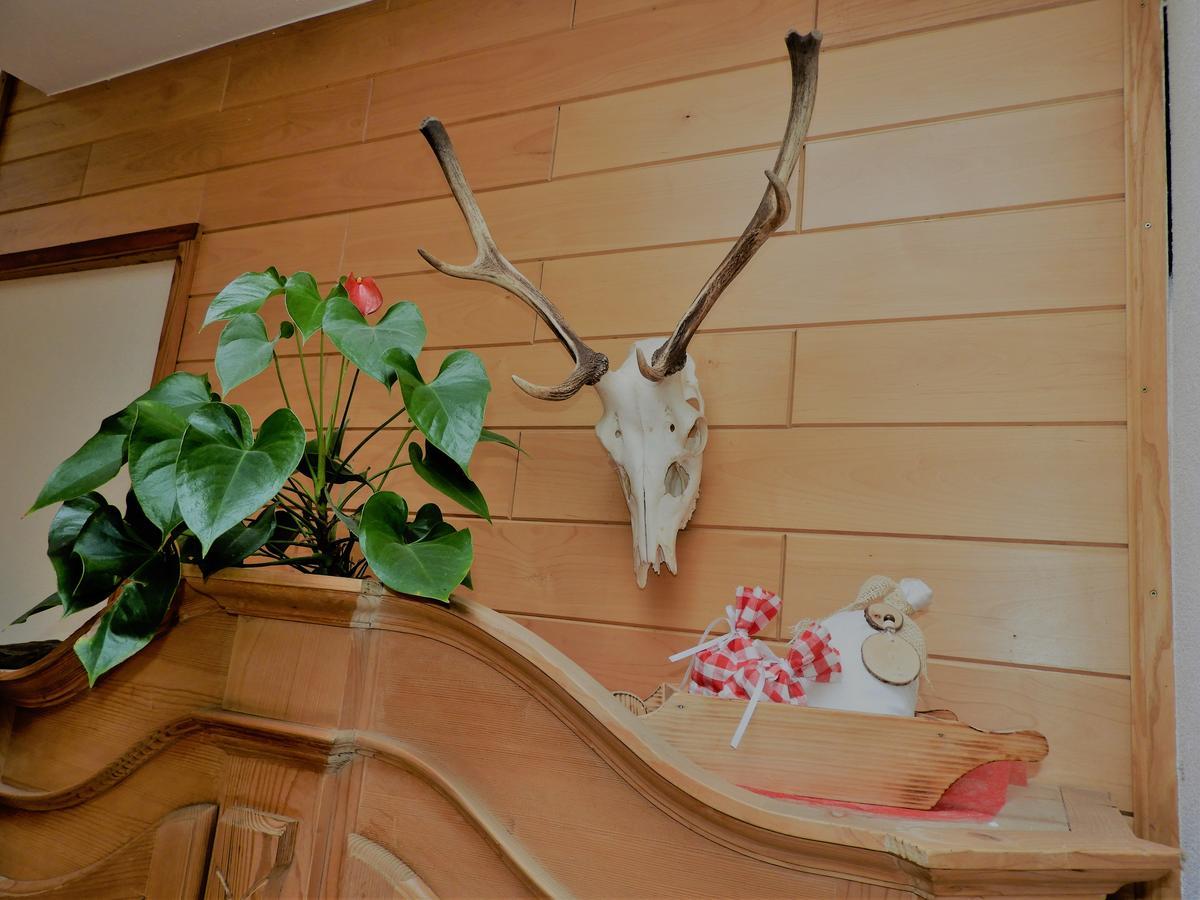 Hotel Hohe Tauern Matrei in Osttirol Exterior photo